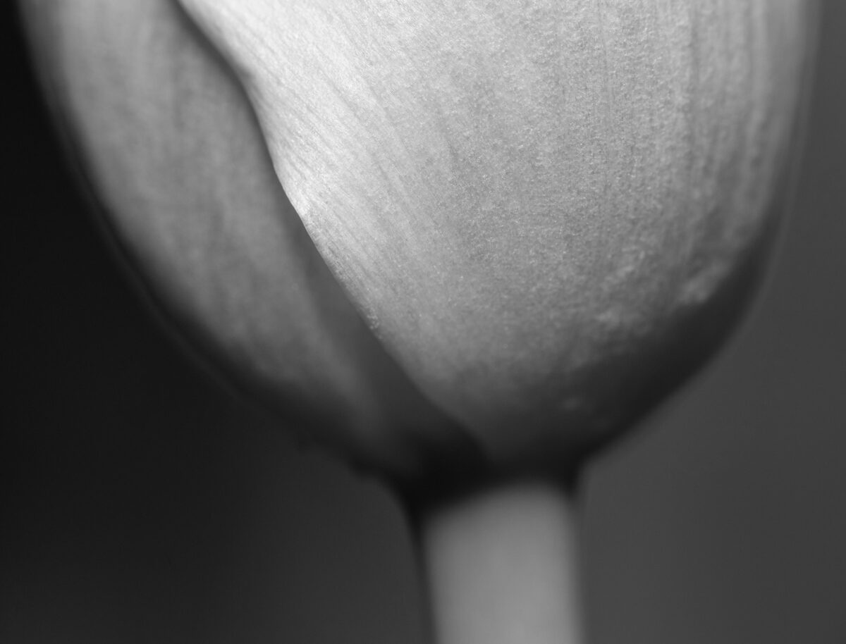 Секс без финала